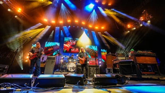 Photograph of Gov't Mule