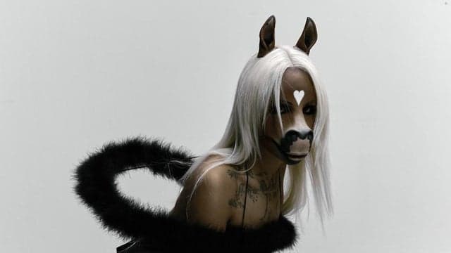 Photograph of horsegiirL