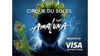 Photograph of Cirque du Soleil - Amaluna