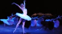 Photograph of Pittsburgh Ballet Theatre