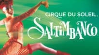 Photograph of Cirque du Soleil - Saltimbanco