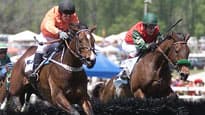 Photograph of Atlanta Steeplechase