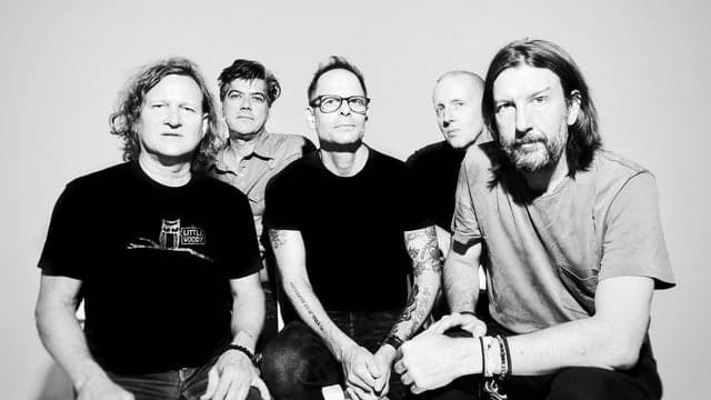 Photograph of Gin Blossoms